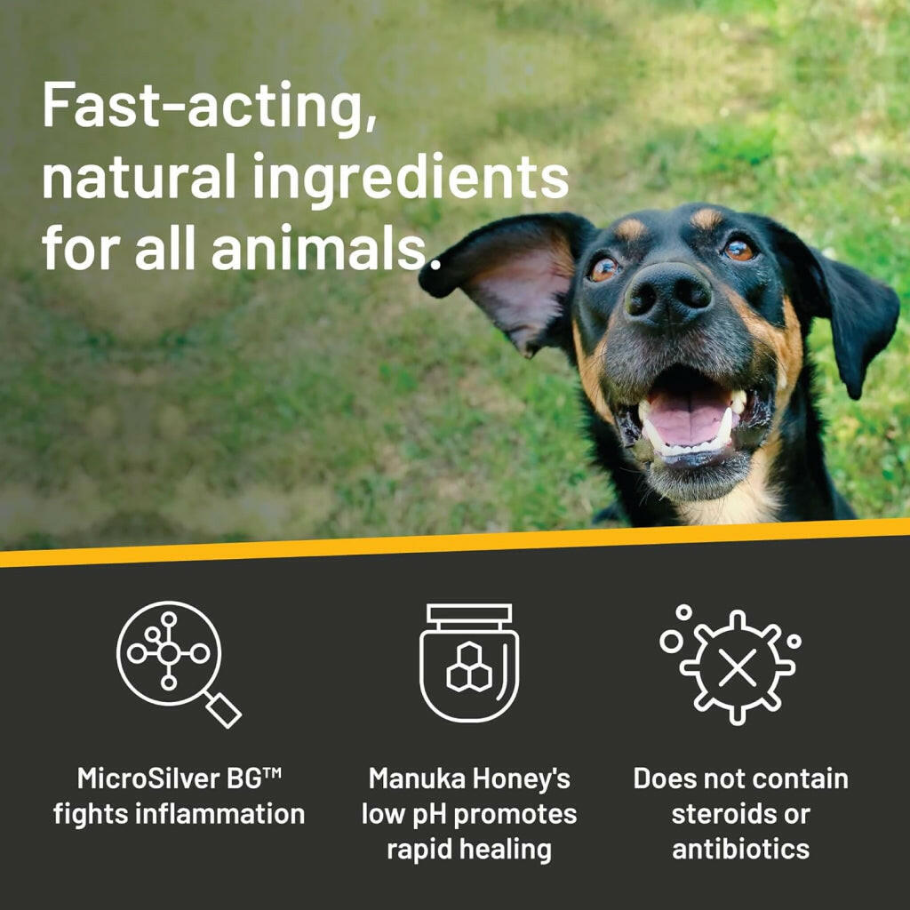 Silver Honey Rapid Ear Care Vet Strength Ear Rinse