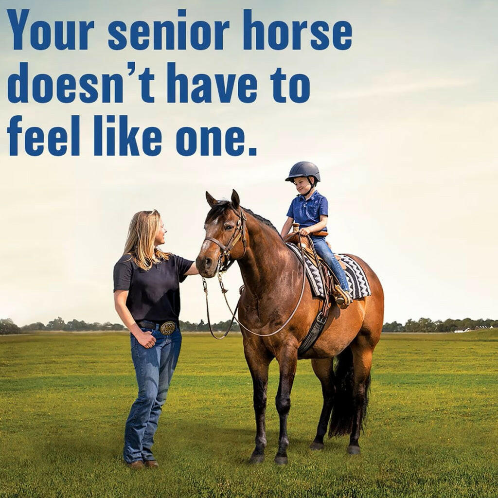 Absorbine Bute-Less Comfort & Recovery Solution Supplement for Horses