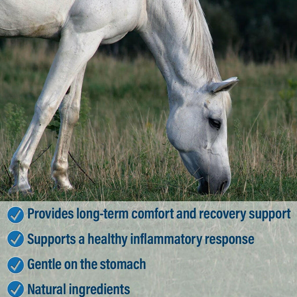 Absorbine Bute-Less Pellets Comfort & Recovery Supplement for Horses