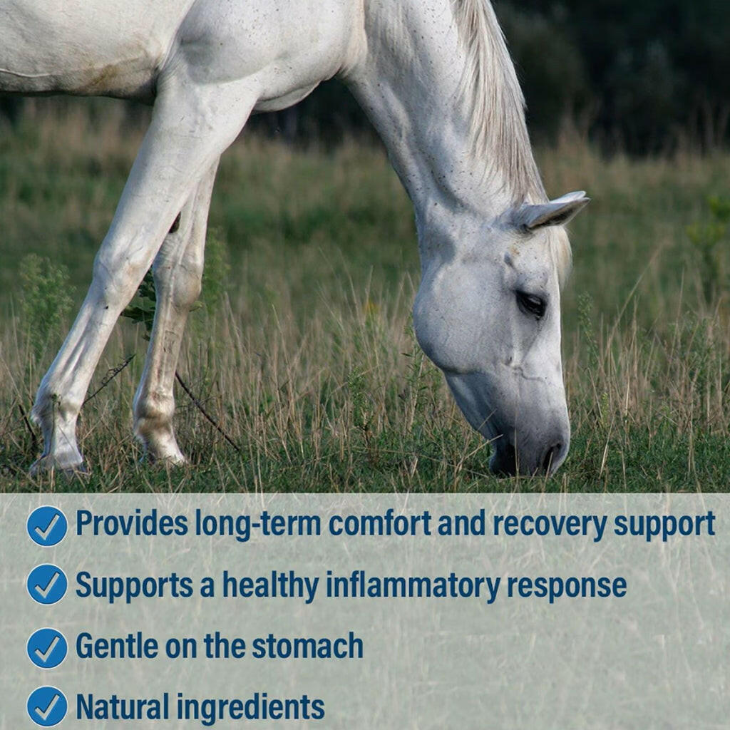 Absorbine Bute-Less Comfort & Recovery Solution Supplement for Horses