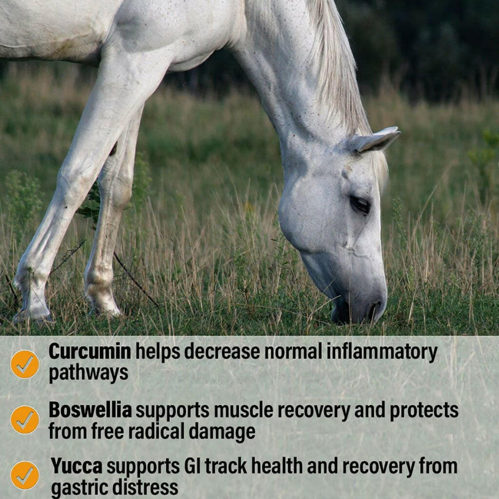 Absorbine Bute-Less Performance Comfort & Recovery Pellets for Horses (3.75 lbs)