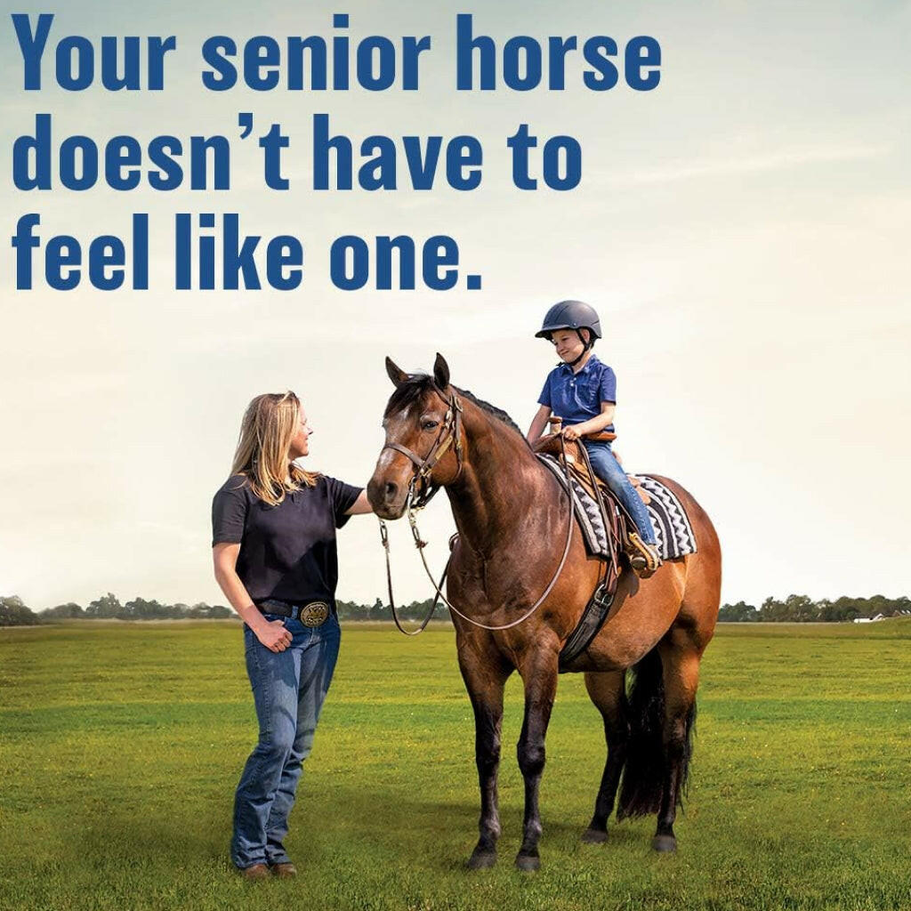 Absorbine Bute-Less Comfort & Recovery Supplement Paste for Horses (3 doses)