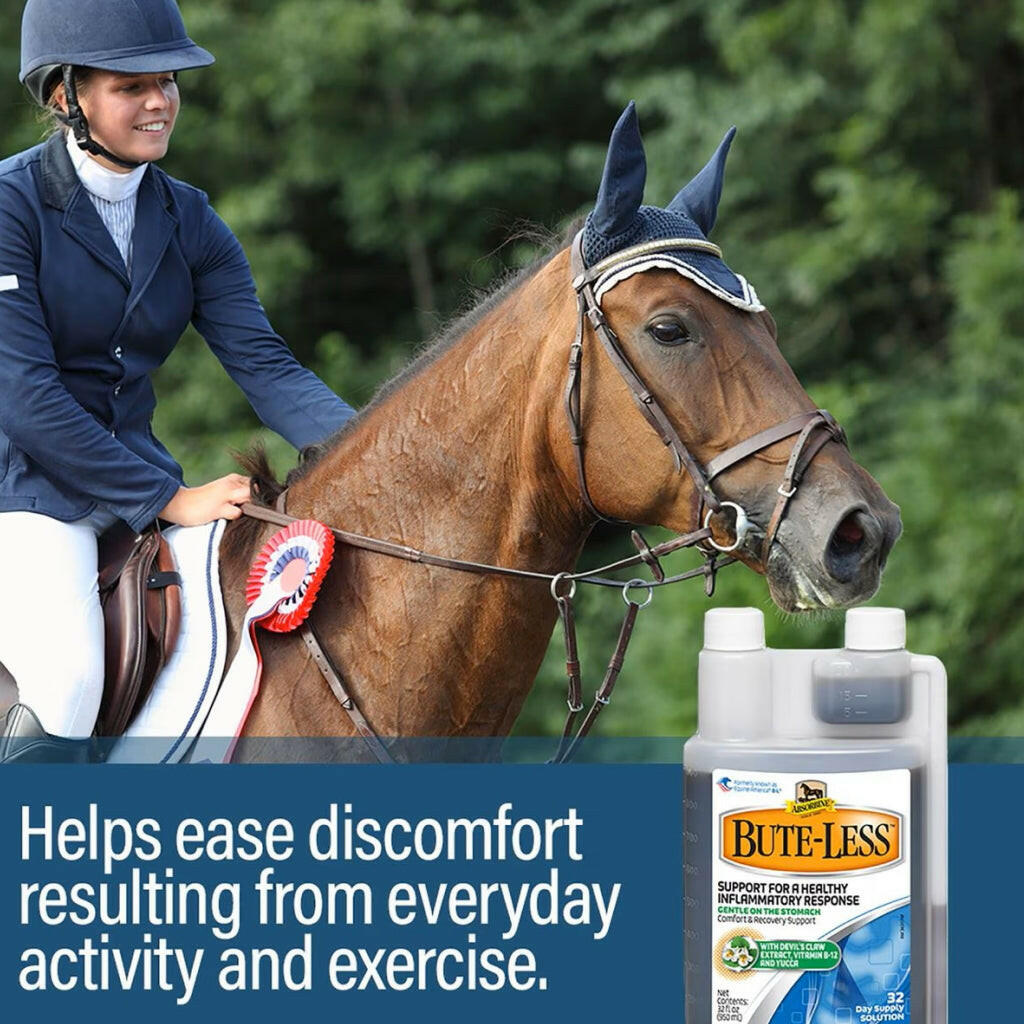 Absorbine Bute-Less Comfort & Recovery Solution Supplement for Horses