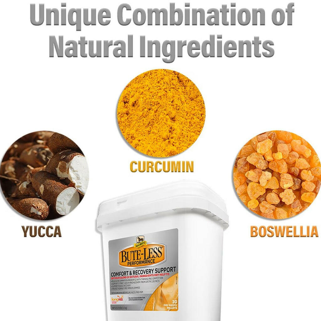 Absorbine Bute-Less Performance Comfort & Recovery Pellets for Horses (3.75 lbs)