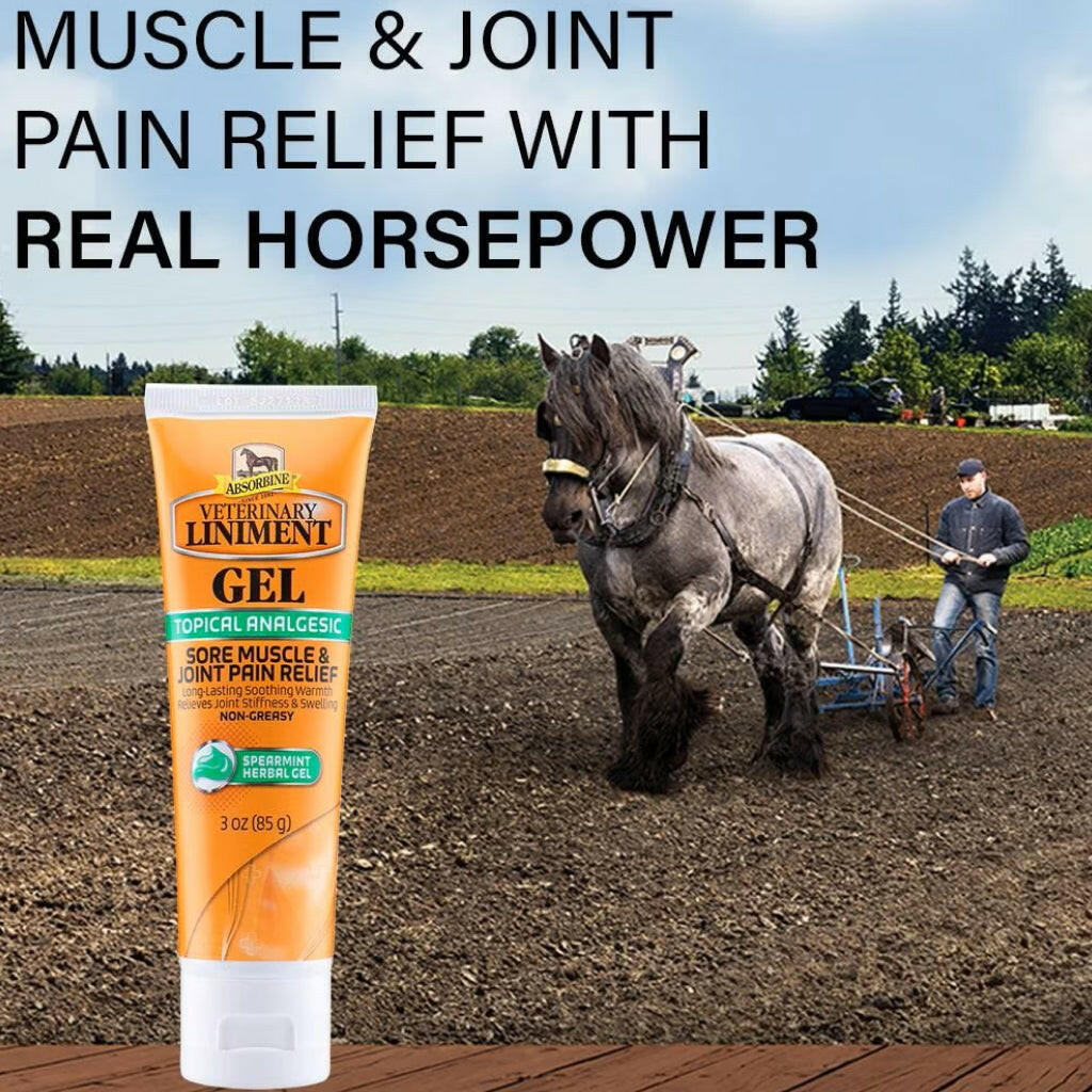 Absorbine Veterinary Liniment Gel for Horses