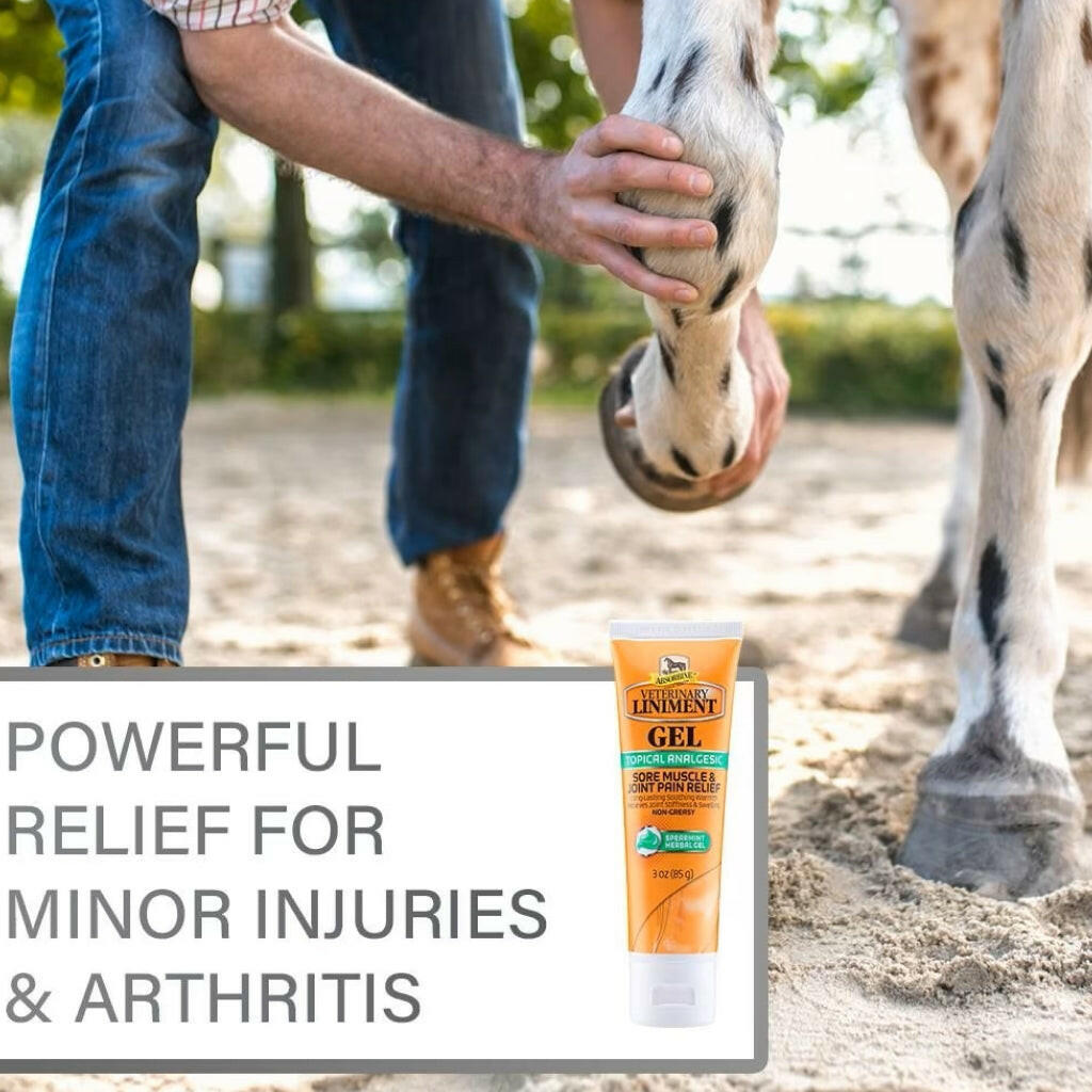Absorbine Veterinary Liniment Gel for Horses