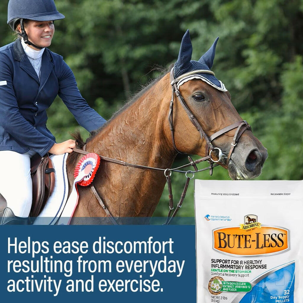 Absorbine Bute-Less Pellets Comfort & Recovery Supplement for Horses