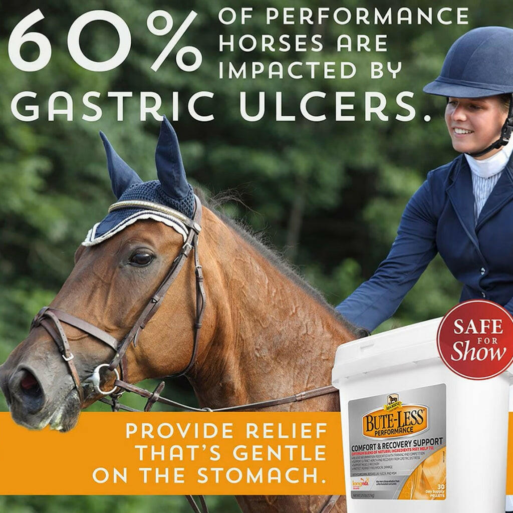 Absorbine Bute-Less Performance Comfort & Recovery Pellets for Horses (3.75 lbs)