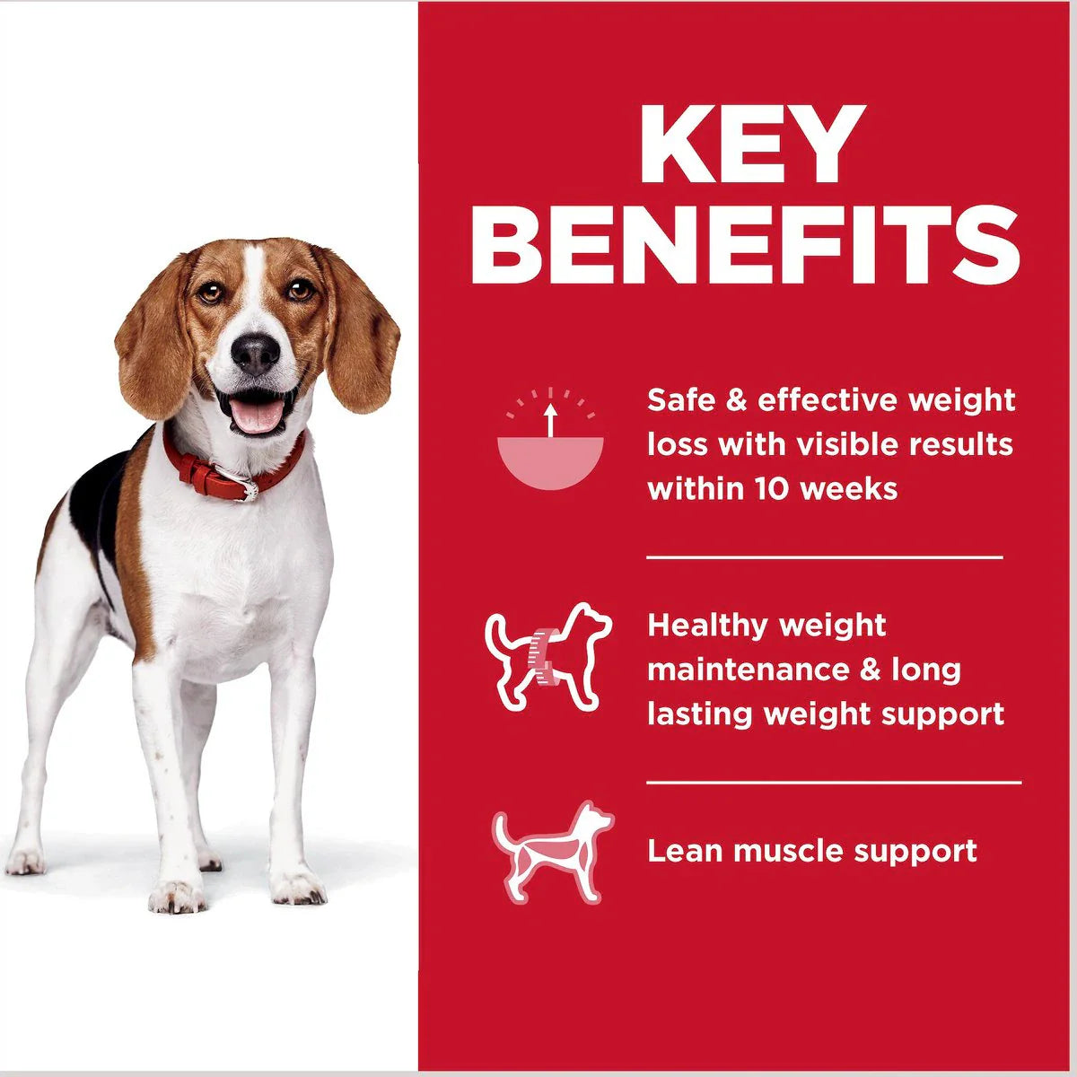 Hill's Science Diet Adult Perfect Weight Small Bites Dry Dog Food, Chicken Recipe