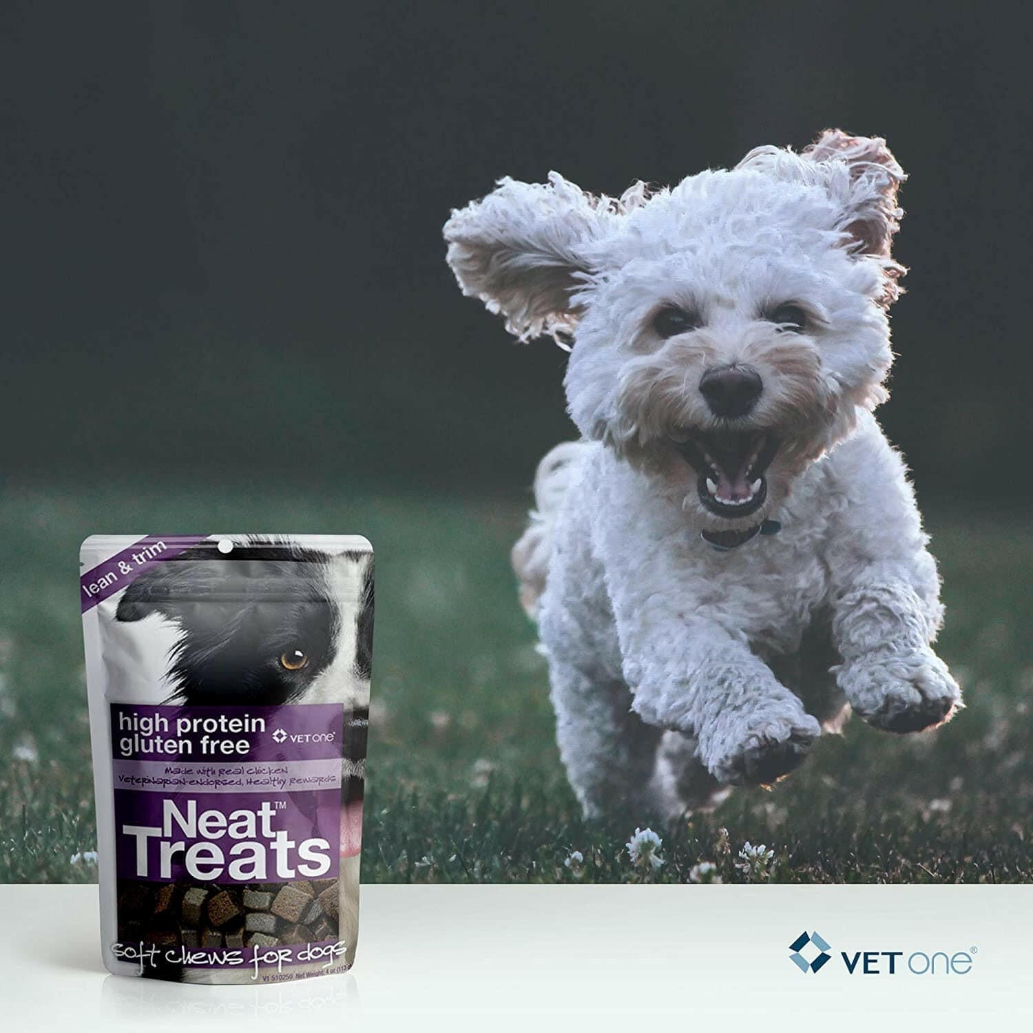 VetOne Neat Treats Soft Chews for Dogs (4oz)