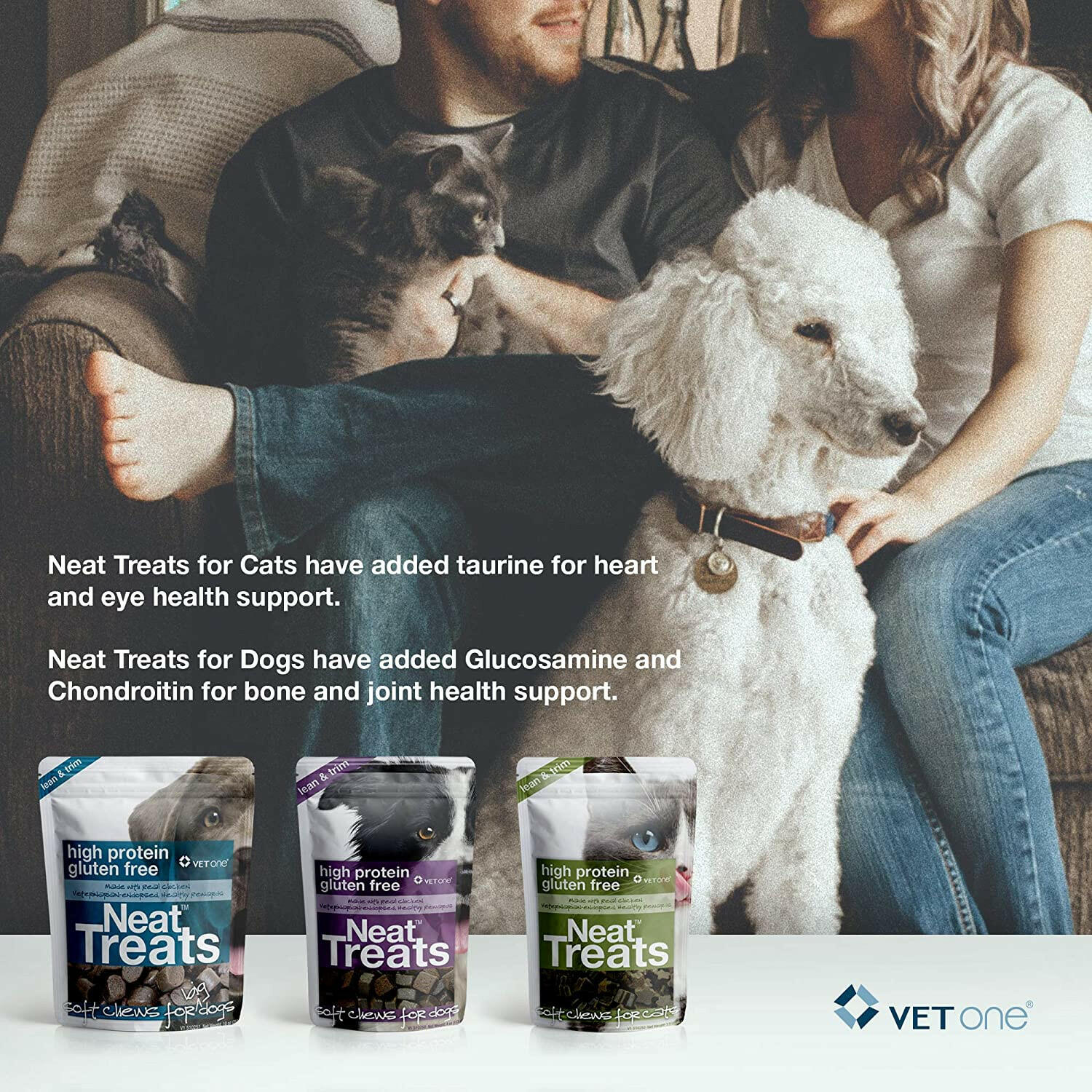 VetOne Neat Treats Soft Chews for Dogs (4oz)