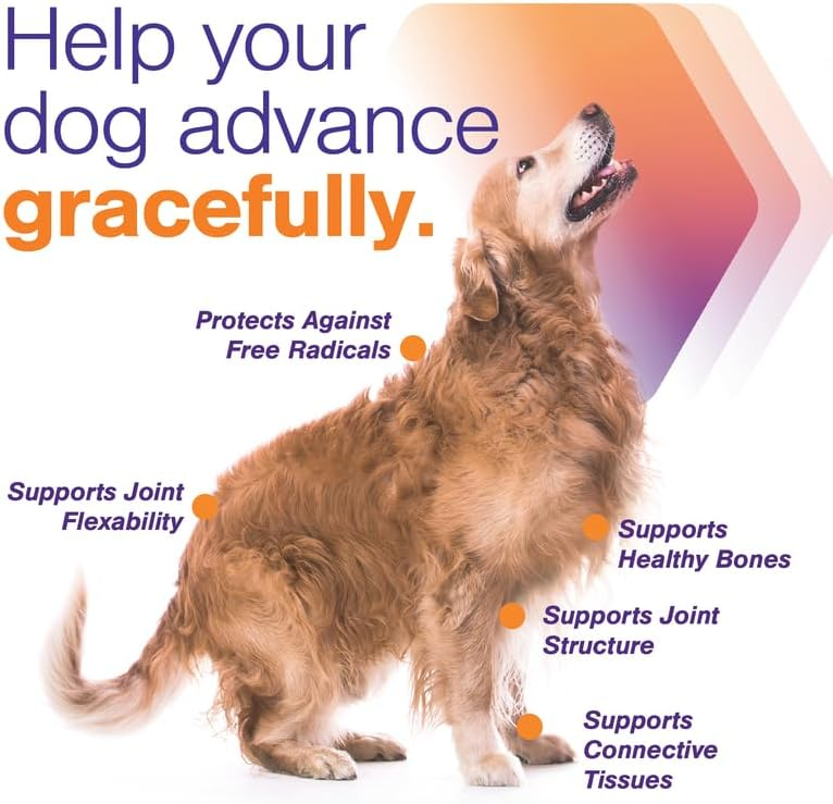 MovoFlex ADVANCED Joint Support for Large Dogs (60 soft chews)