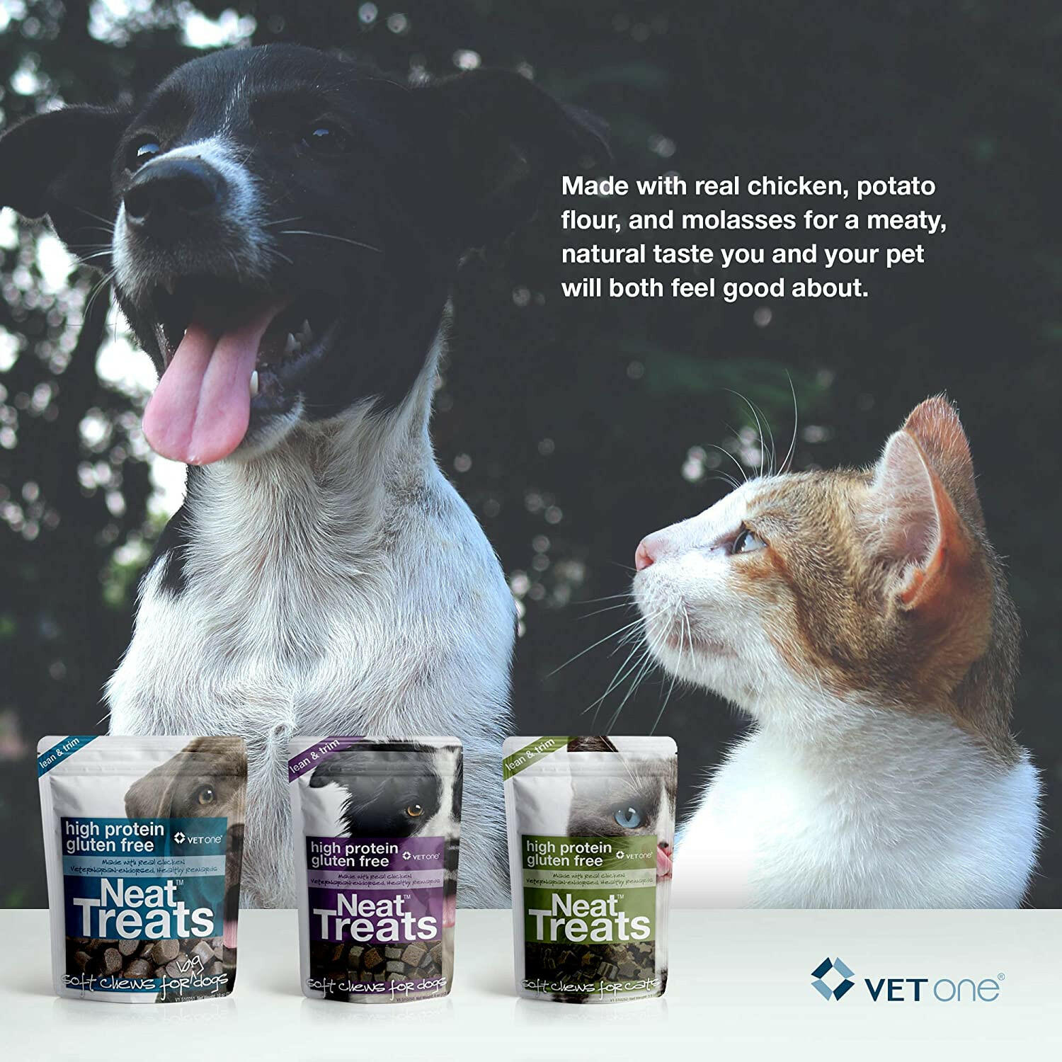 VetOne Neat Treats Soft Chews for Dogs (4oz)