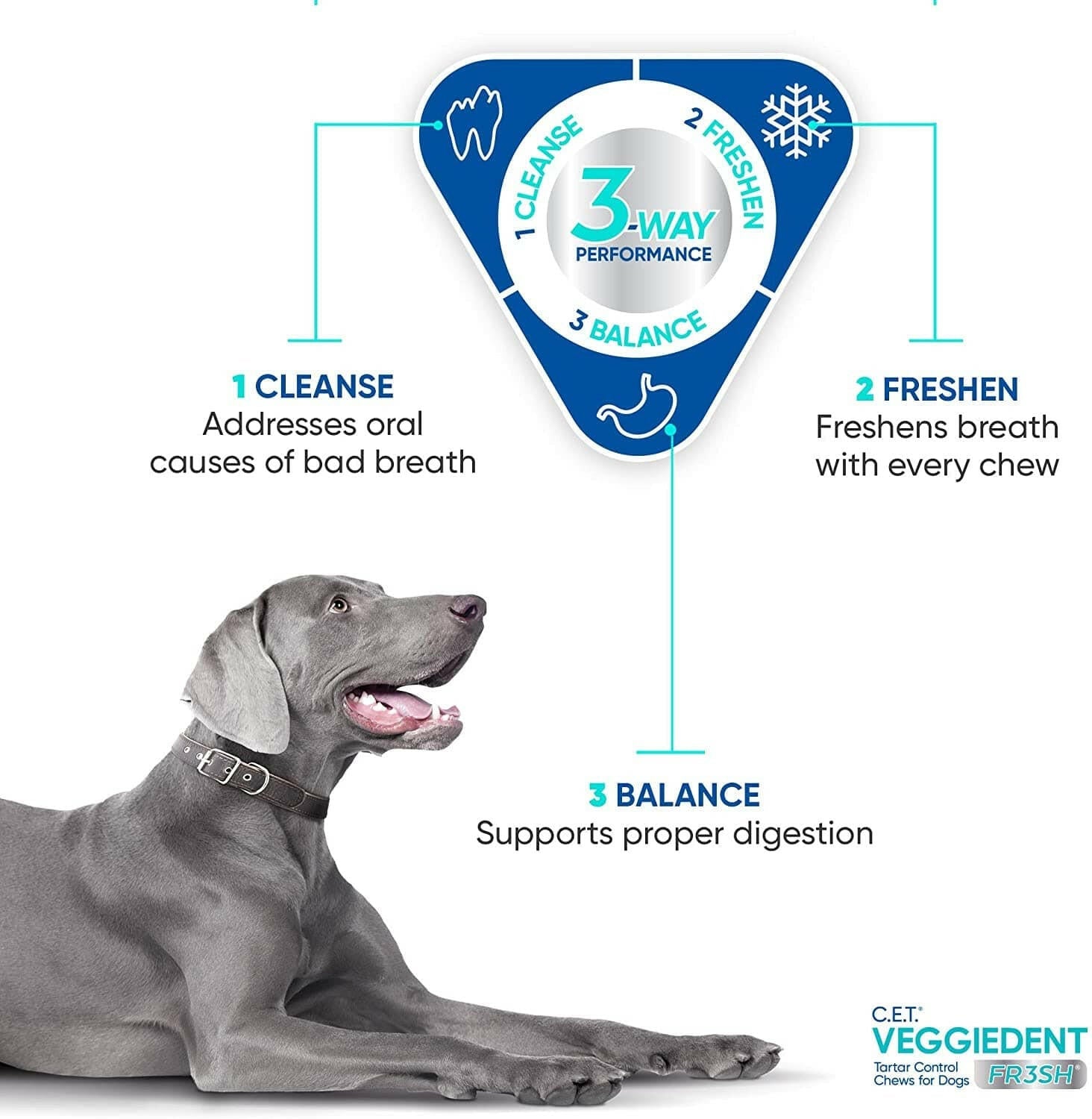 C.E.T. VeggieDent Fr3sh for Small Dogs