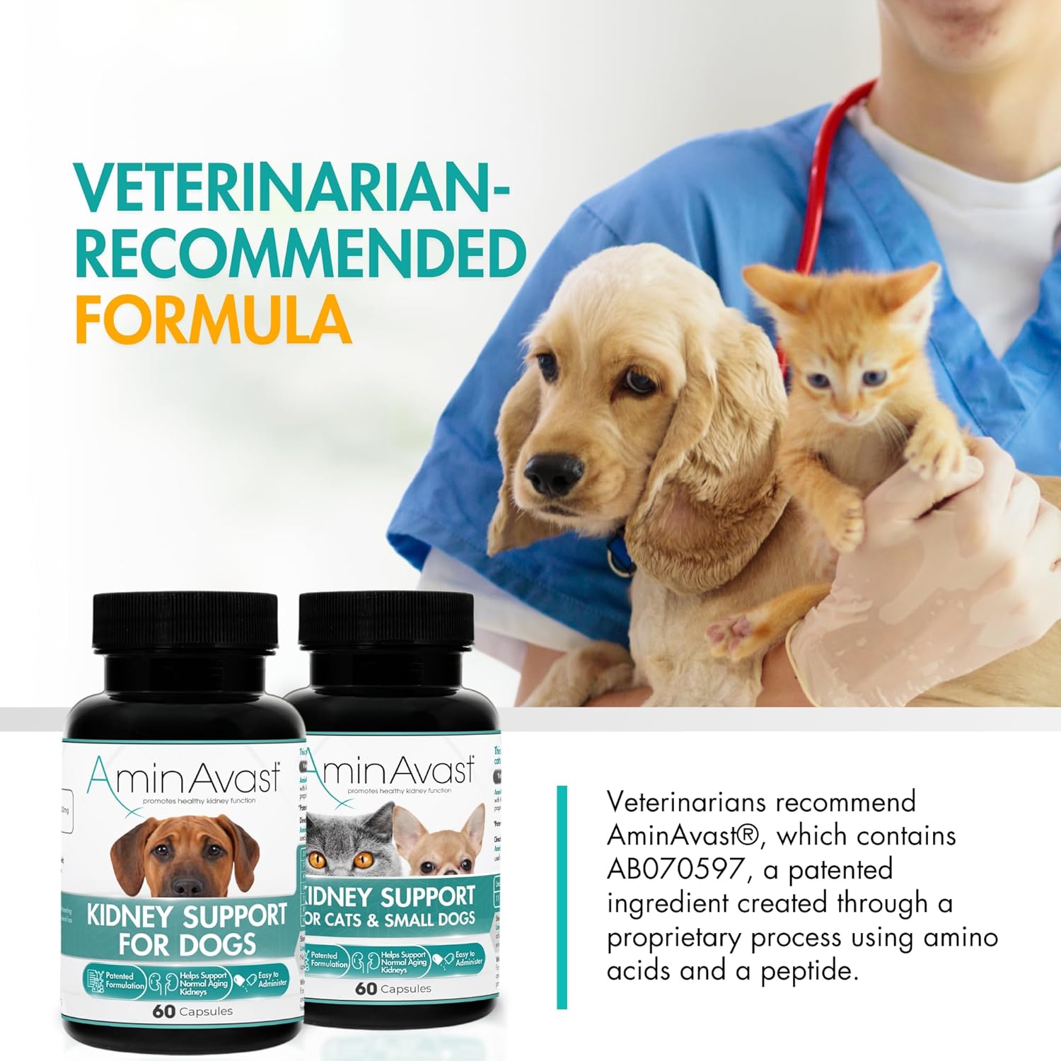 AminAvast Kidney Support for Dogs (60 capsules)