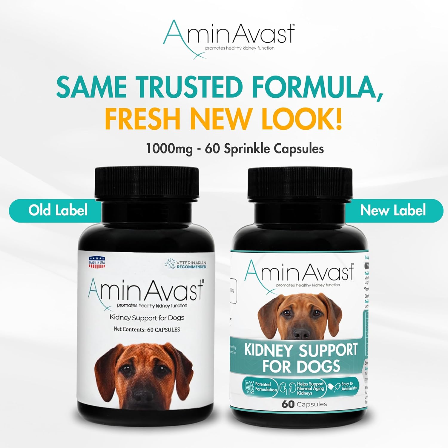 AminAvast Kidney Support for Dogs (60 capsules)