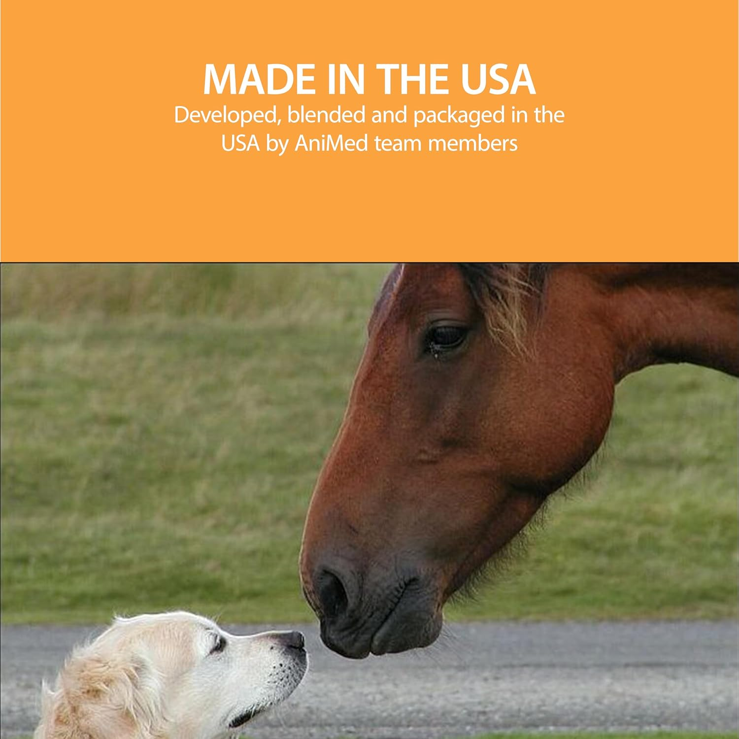 AniMed Remission For Horses