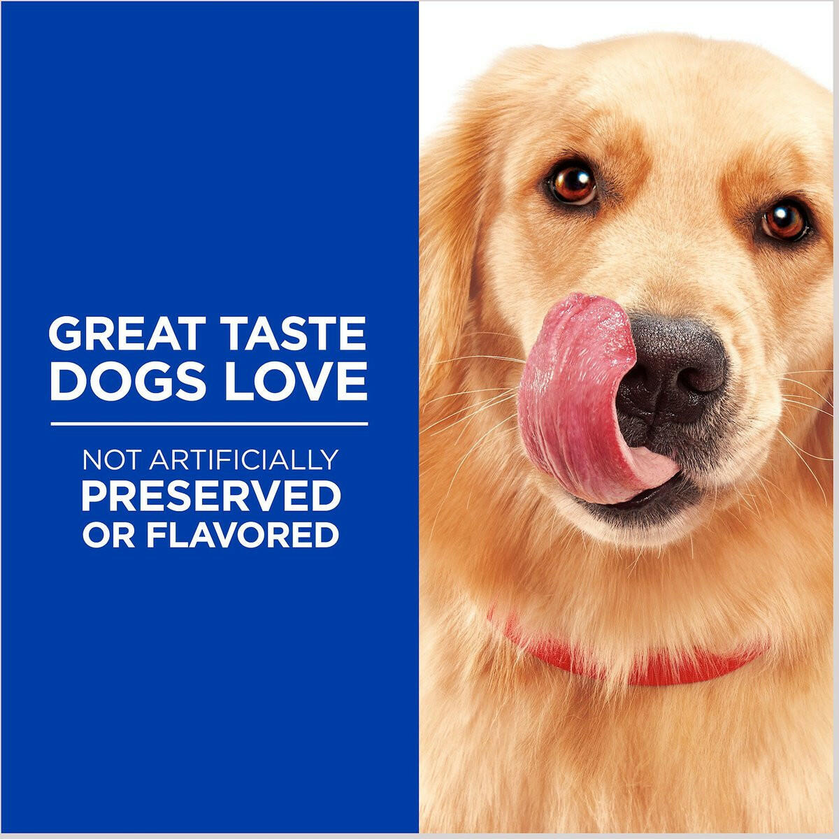 Hill's Natural Soft Savories Dog Treats (8 oz)