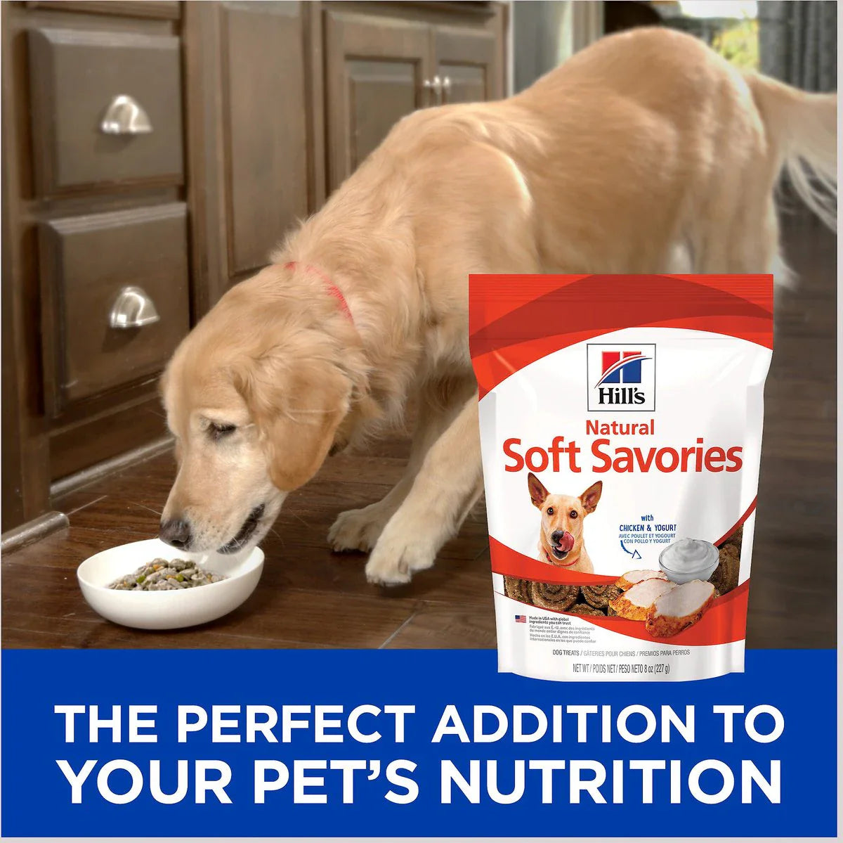 Hill's Natural Soft Savories Dog Treats (8 oz)