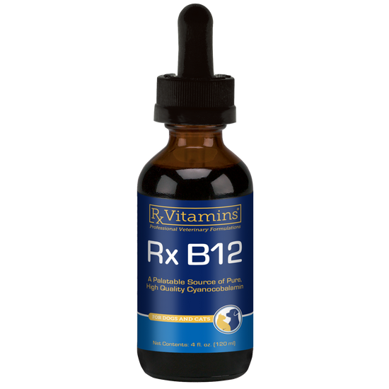 Rx Vitamins Rx B12 Liquid Digestive Supplement For Dogs and Cats (4 oz)