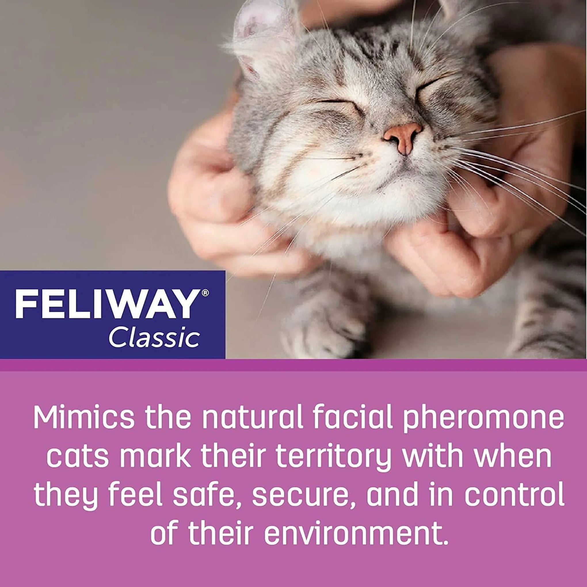 Feliway Classic 30 Day Starter Kit for Cats