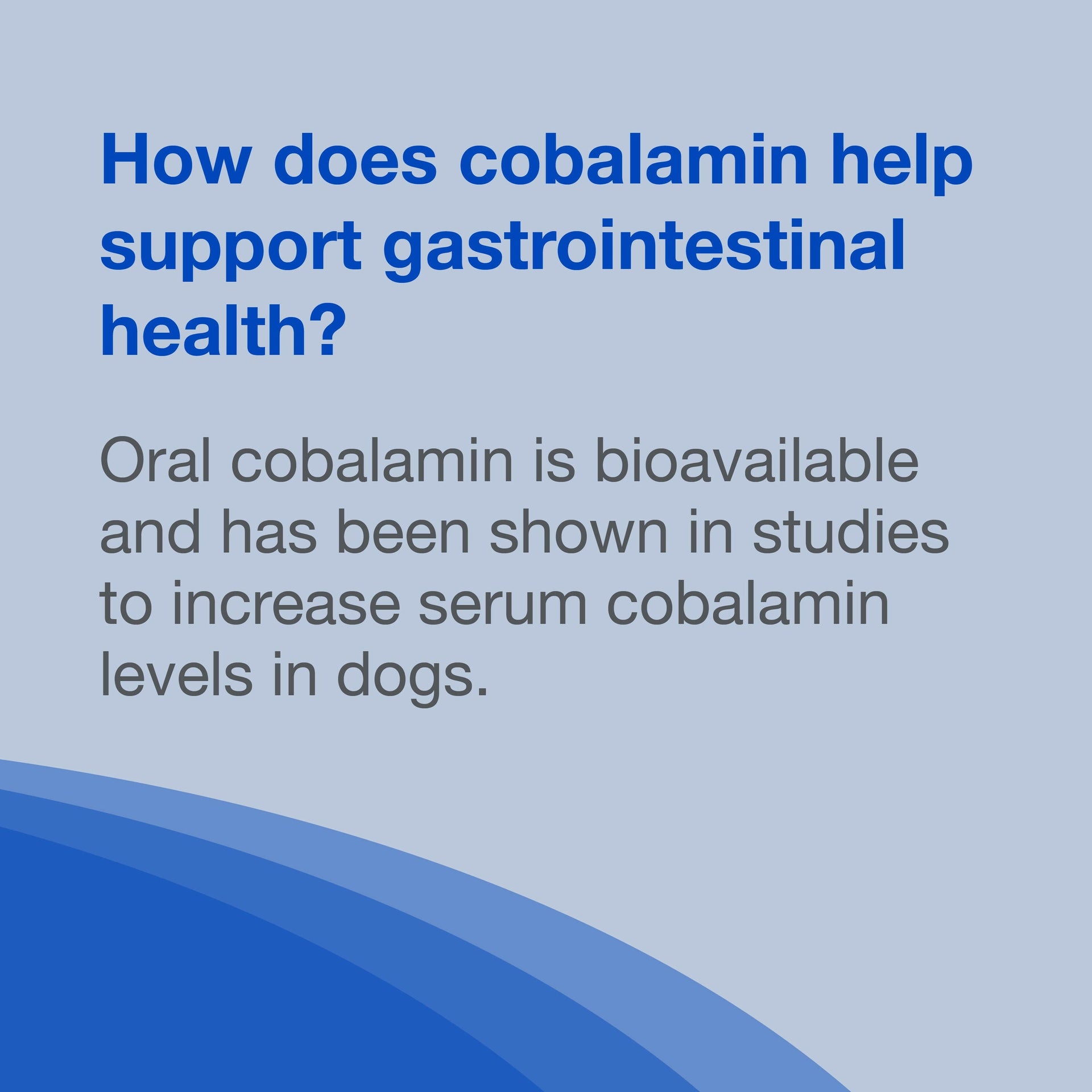Nutramax Cobalequin B12 Supplement for Medium to Large Dogs, 45 Chewable Tablets
