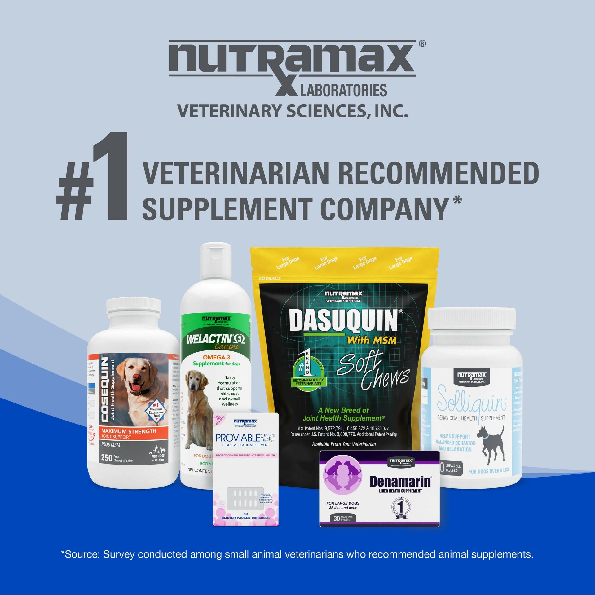 Nutramax Cobalequin B12 Supplement for Medium to Large Dogs, 45 Chewable Tablets