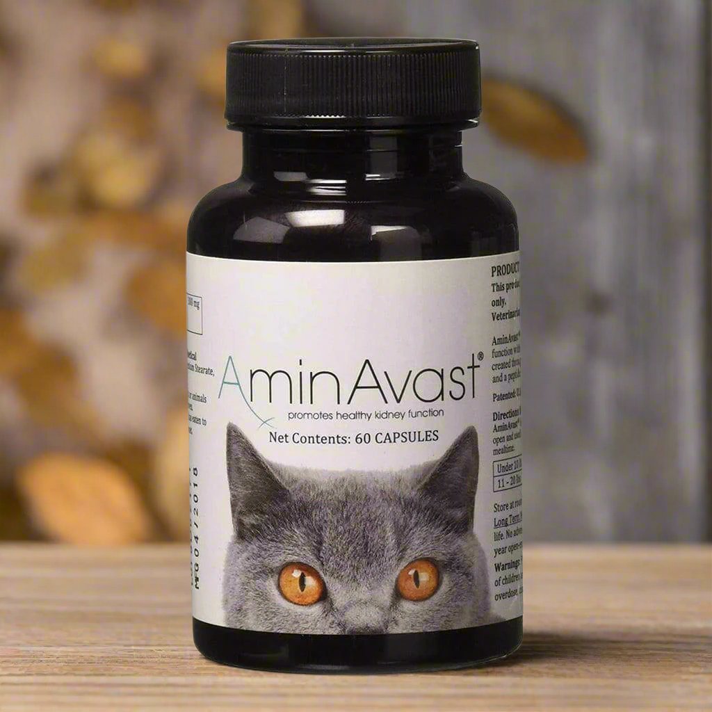 AminAvast Kidney Support for Cats (60 capsules)