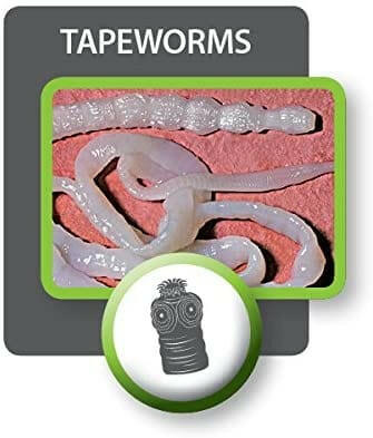 Tapeworm Dewormer for Cats (3 Tablets)