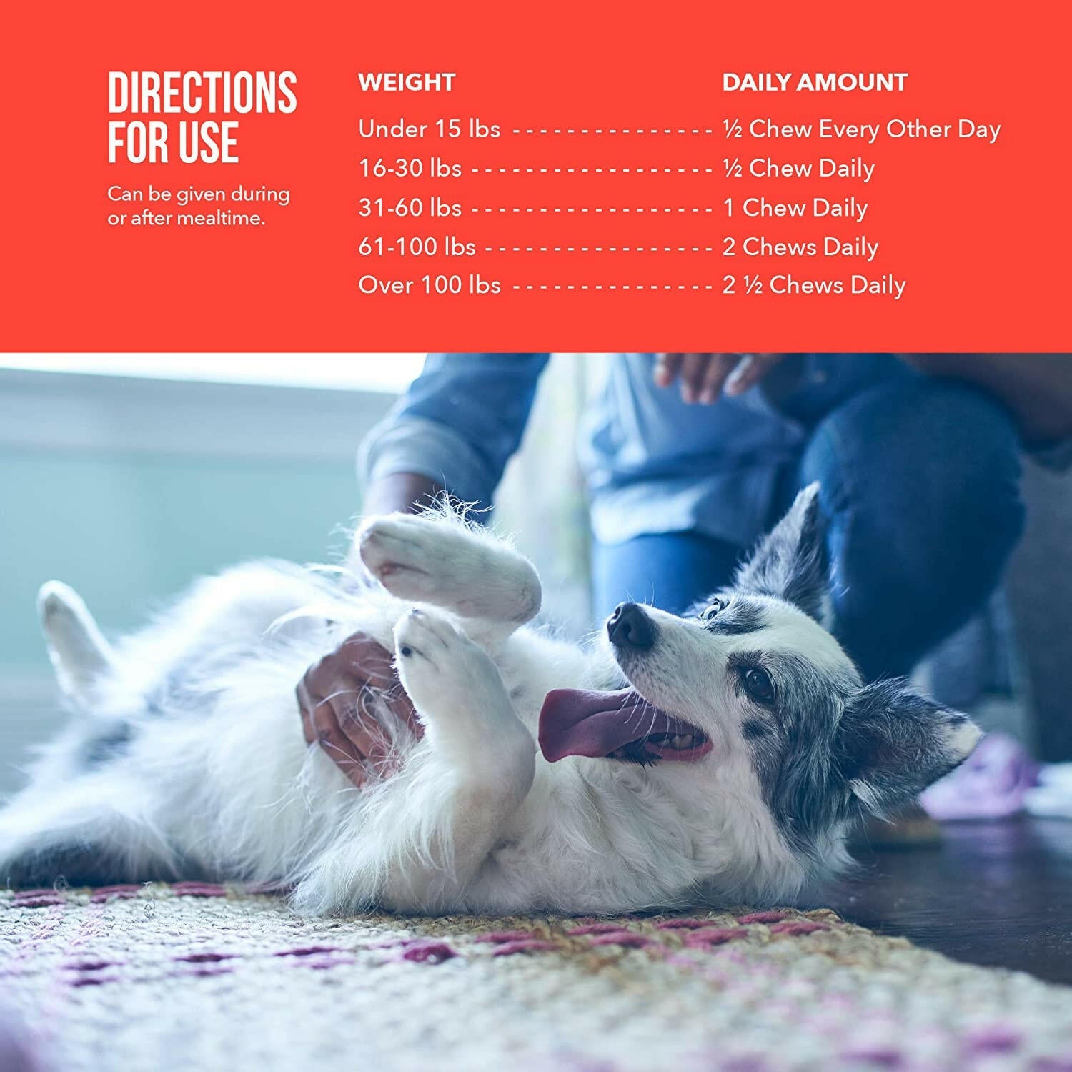 Synovi G3 Soft Chews Joint Supplement for Dogs