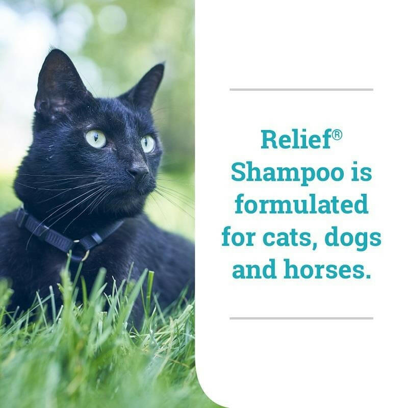 Relief Shampoo