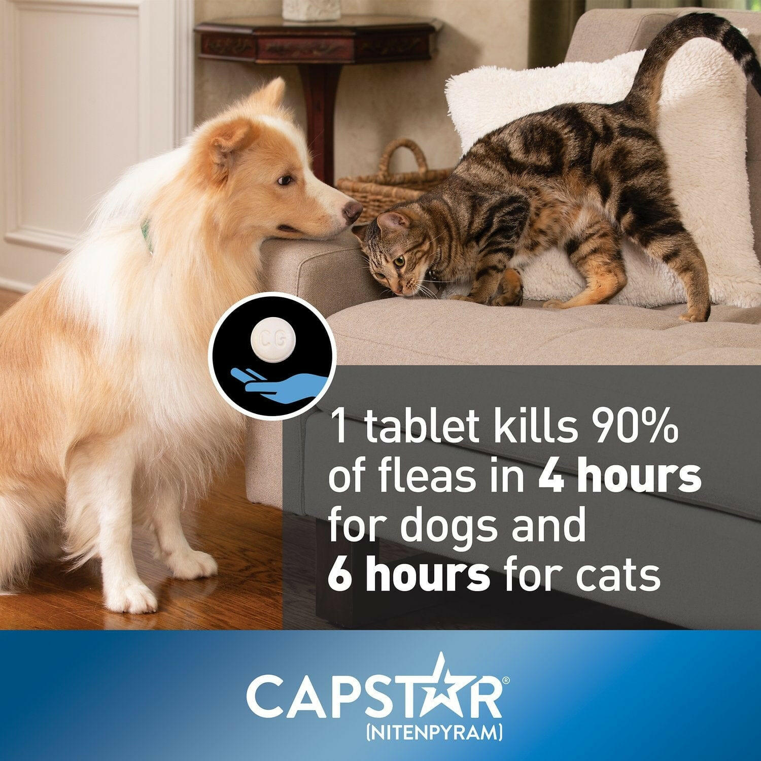 Capstar Oral Flea Treatment for Cats 2-25 lbs (6 Doses)