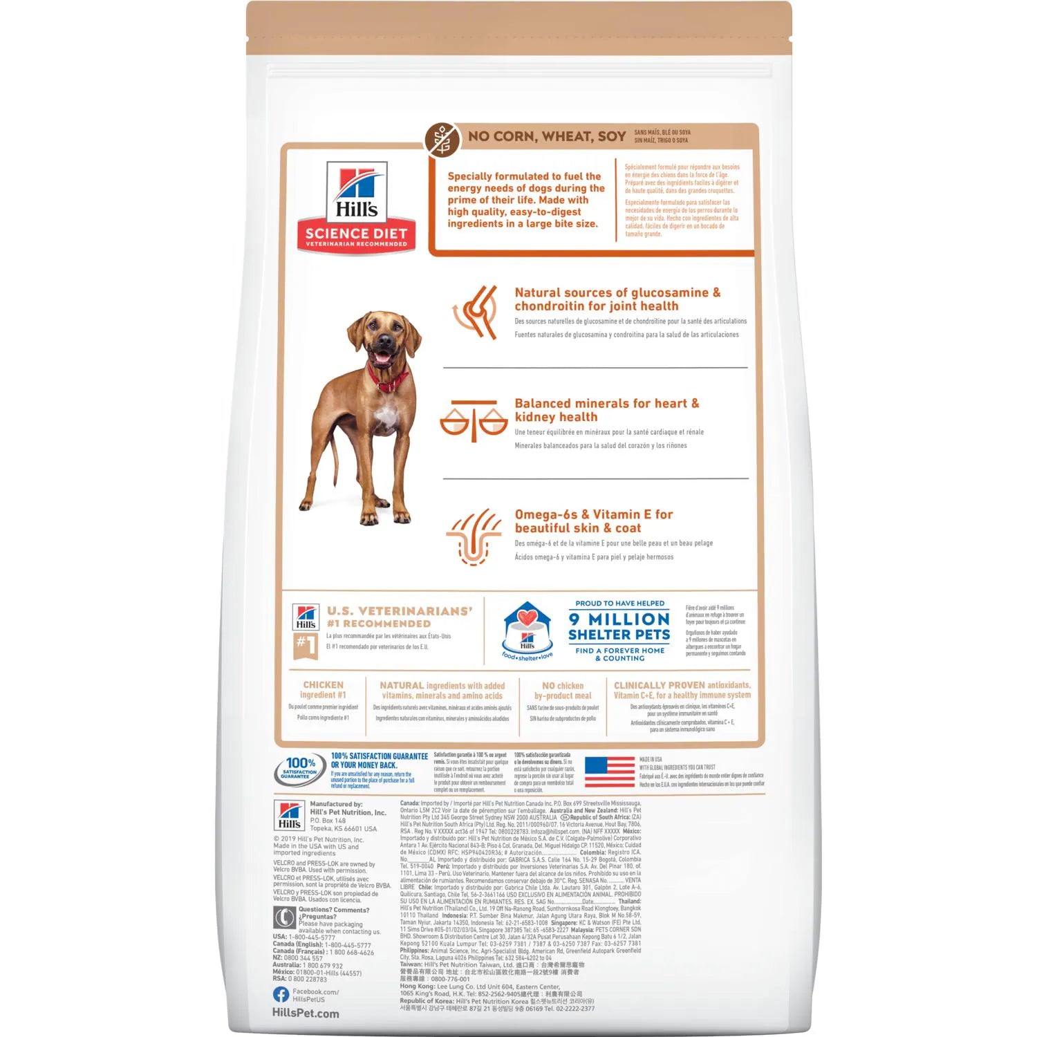 Hill's Science Diet Adult 6+ Large Breed Chicken Dry Dog Food with No Corn, Wheat or Soy Dry Dog Food (30 lb)