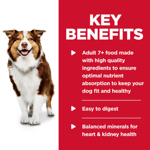 Hill's Science Diet Senior 7+ Canned Dog Food, Chicken & Barley Entrée (13.1 oz x 12 cans)