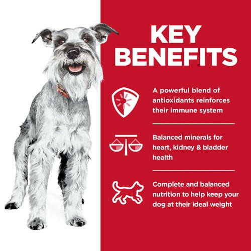 Hill's Science Diet Adult 7+ Small & Mini Chicken Meal & Brown Rice Recipe Dry Dog Food