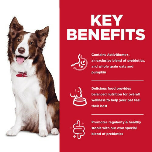 Hill's Science Diet Adult Perfect Digestion Chicken, Brown Rice, & Whole Oats Recipe Dry Dog Food, 22 lb bag