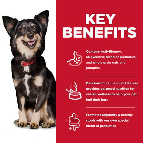 Hill's Science Diet Adult Perfect Digestion Small Bites Chicken, Dry Dog Food