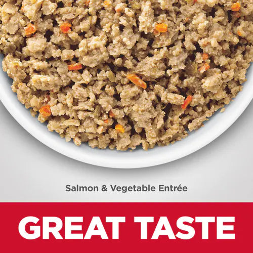 Hill's Science Diet Adult Sensitive Stomach & Skin Salmon & Vegetable Entrée Canned Dog Food (12.8 oz x 12 cans)