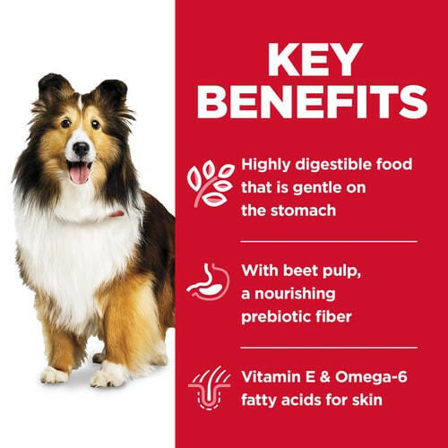 Hill's Science Diet Adult Sensitive Stomach & Skin Salmon & Vegetable Entrée Canned Dog Food (12.8 oz x 12 cans)