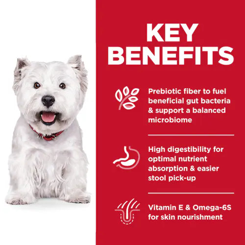 Hill's Science Diet Adult Sensitive Stomach & Skin Small Bites Chicken Recipe Dry Dog Food