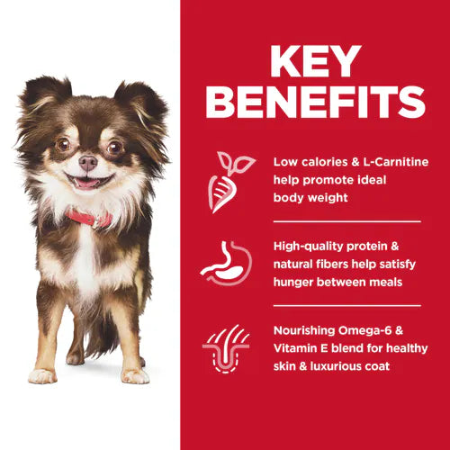 Hill's Science Diet Adult Sensitive Stomach & Skin Small & Mini Chicken Recipe Dry Dog Food