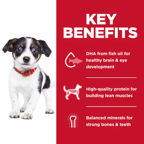 Hill's Science Diet Puppy Chicken Recipe with No Corn, Wheat or Soy Dry Dog Food