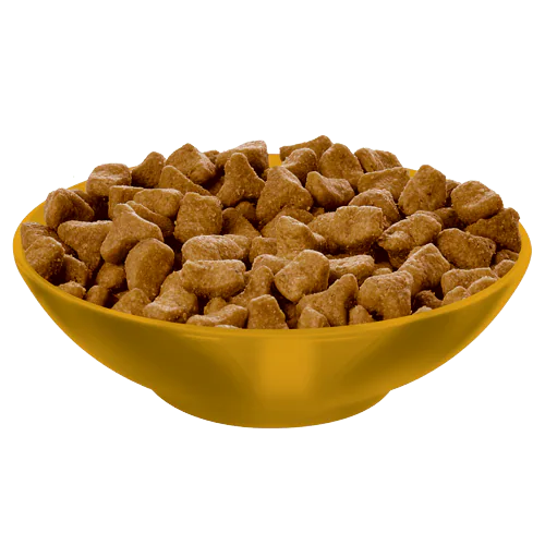 Hill's Science Diet Adult Hairball Control Chicken Recipe Dry Cat Food