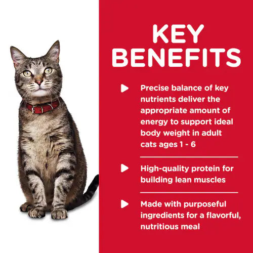 Hill's Science Diet Adult Savory Chicken Entrée Canned Cat Food (5.5 oz x 24 cans)