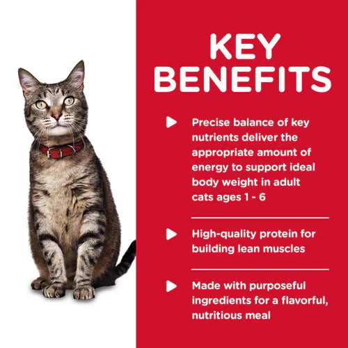 Hill's Science Diet Adult Tender Chicken Dinner Canned Cat Food (5.5 oz x 24 cans)