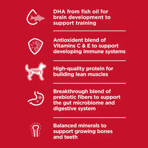 Hill's Science Diet Kitten Canned Cat Food, Liver & Chicken Entrée (2.9 oz x 24 cans)